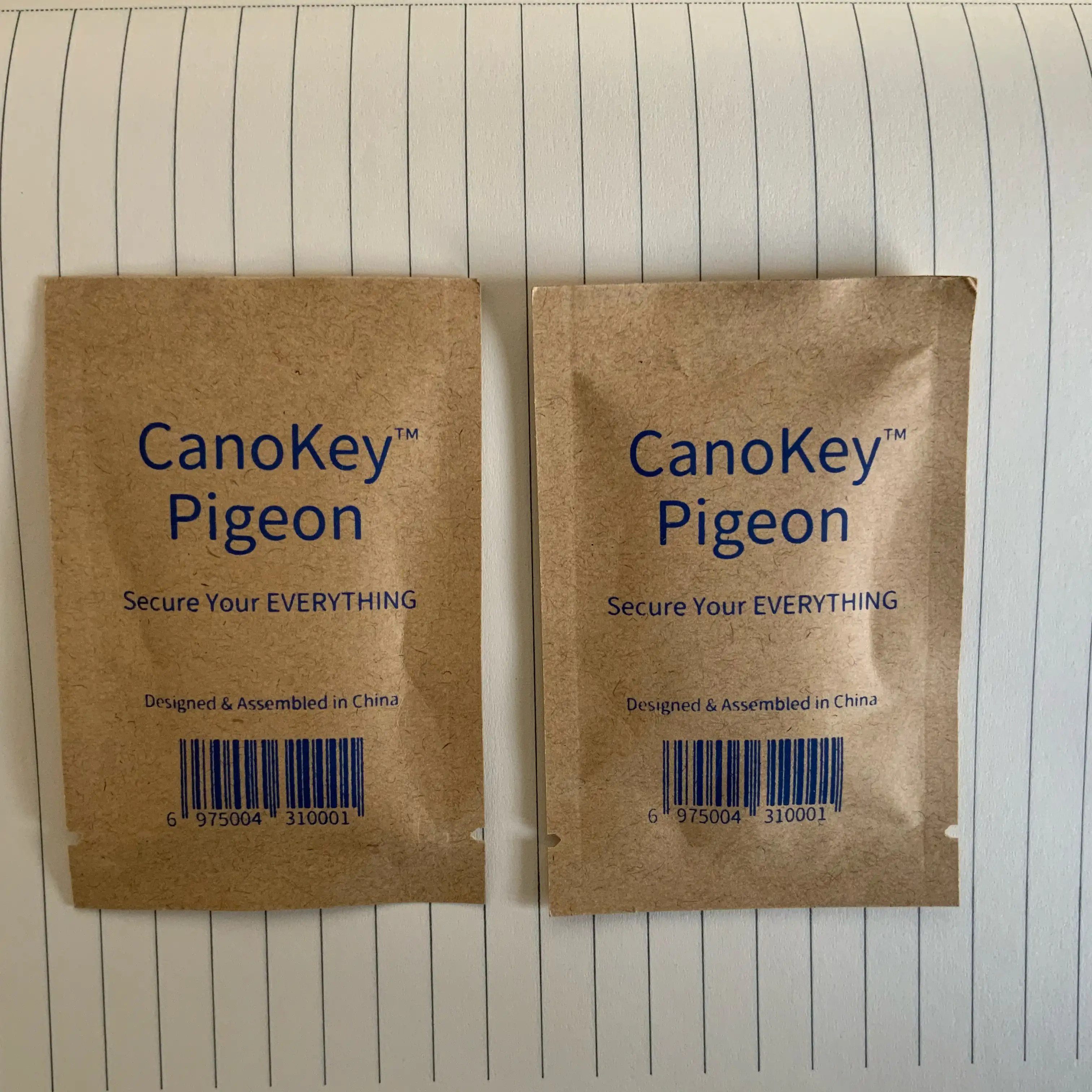 Canokey Pigeon